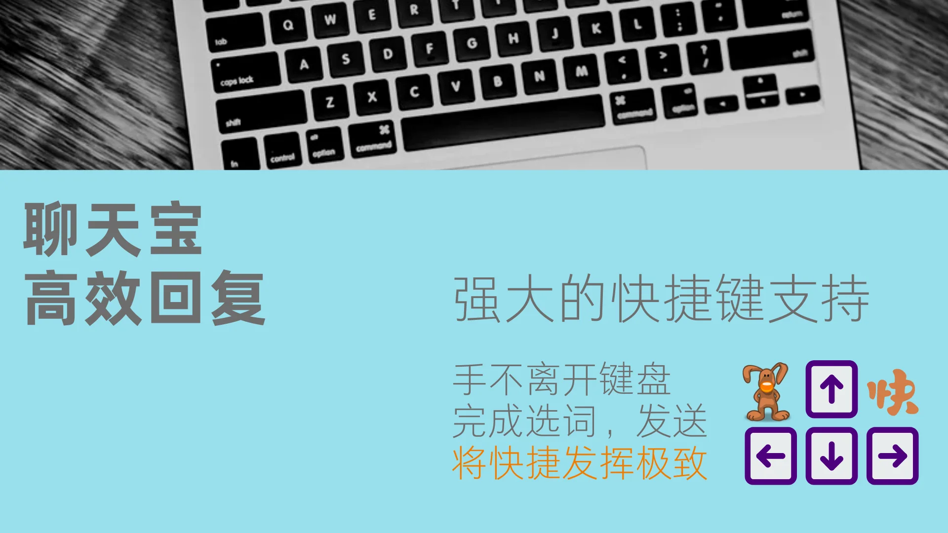 快捷键功能让回复更高效