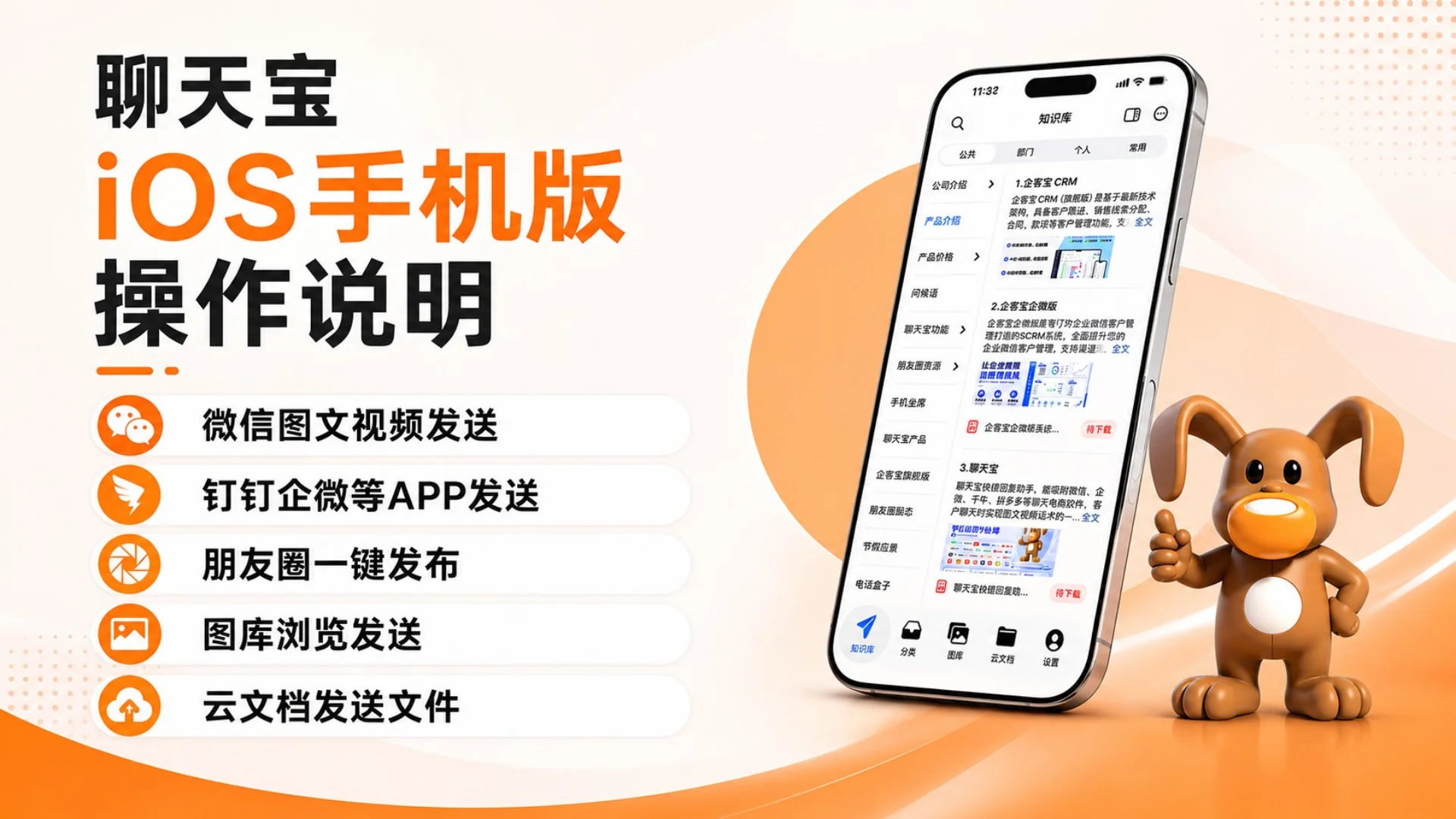 说明
