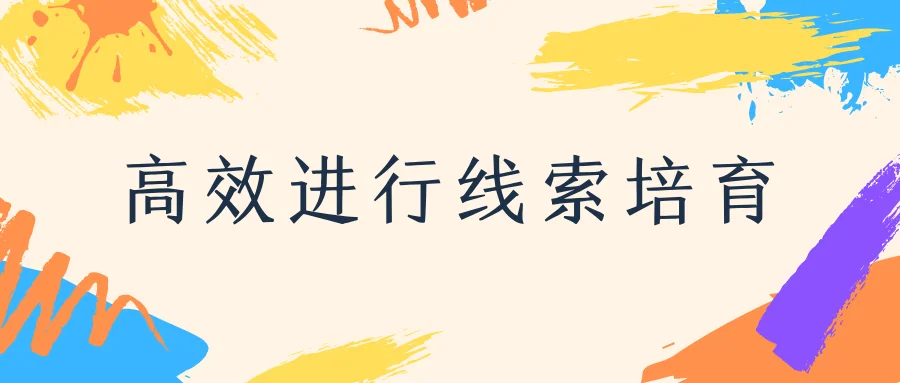 高效进行线索培育